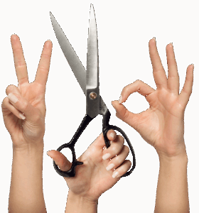 犬OK温泉宿が伊豆で楽しめるおすすめの場所は？