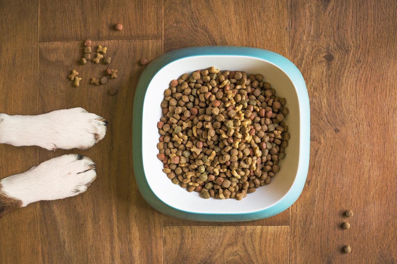 犬と一緒に宿泊する際のキャンセル料はどのくらいかかる？