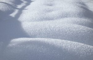 ペットと一緒に冬に雪を楽しめるおすすめのアクティビティは？