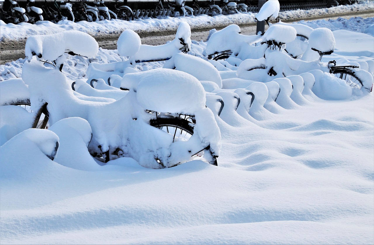 ペットと一緒に冬の雪を楽しめるアクティビティは？