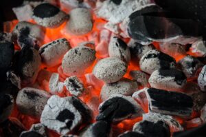 ペットと一緒に楽しめるBBQで同席可能な場所はどこ？