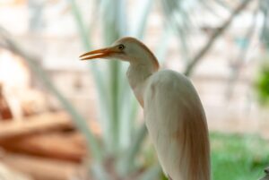 犬預かりサービスありの施設はどこで探せる？