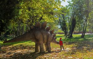 ペット可ホテルが充実している北海道のおすすめスポットは？