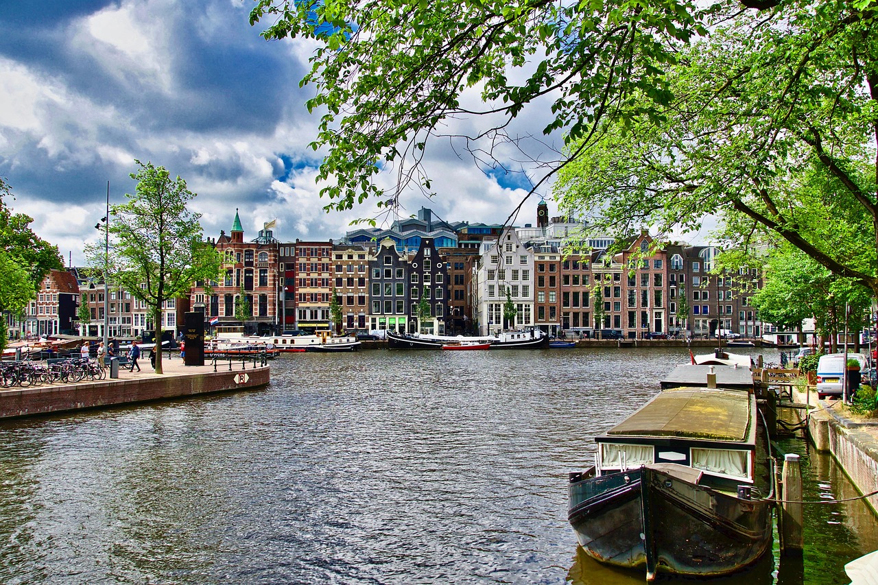 犬連れに最適な高級宿泊施設のおすすめは？