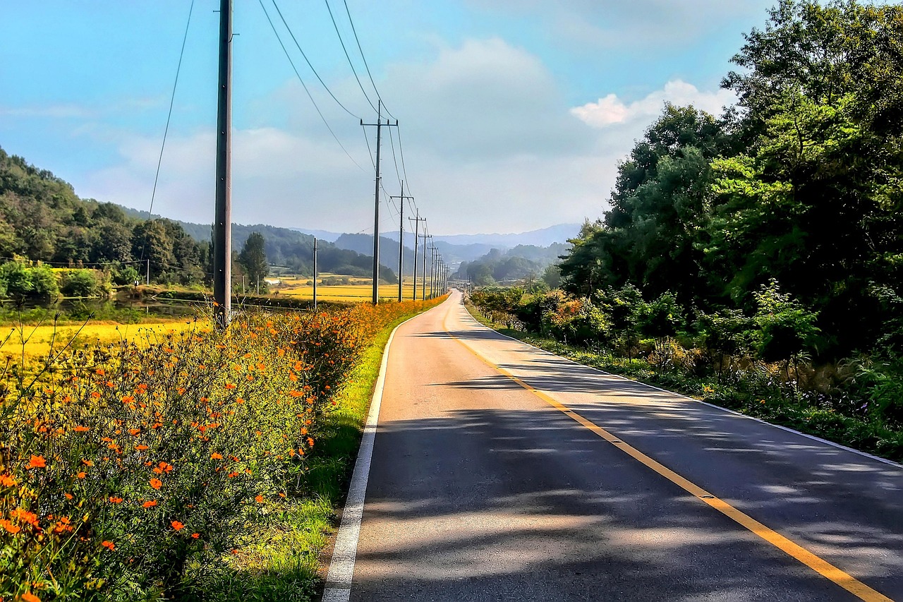 沖縄でペットOKのゴルフ旅行を楽しむためのポイントは？