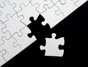 新潟で人気のドッグラン付き宿はどこ？