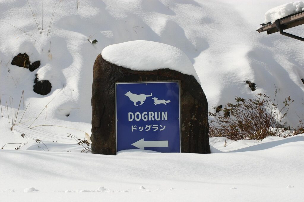 石川で人気のドッグラン付き宿はどこ？