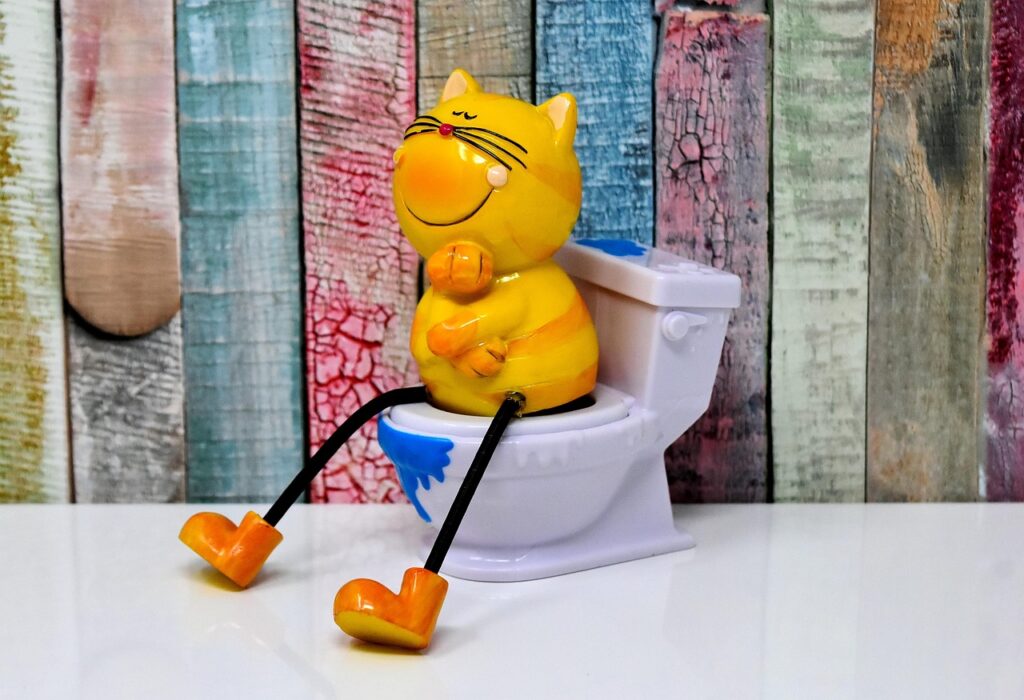 ペット可宿でのトイレしつけは本当に必要？