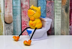 ペット可宿でのトイレしつけは本当に必要？