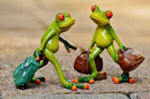 ペットとの旅行準備はこれで完璧？