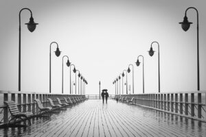 ペットと一緒に泊まる旅館のデメリットは何ですか？