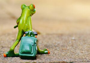 ペット同伴 旅行 口コミで失敗しないためのポイントは？