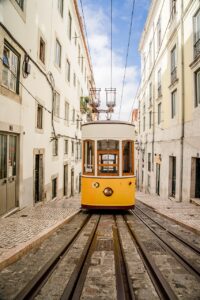 ペット連れ旅行の体験談を知りたい人必見！どんな楽しみ方がある？