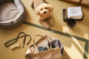 ペットと泊まれる旅行プランで失敗しないためのポイントは？
