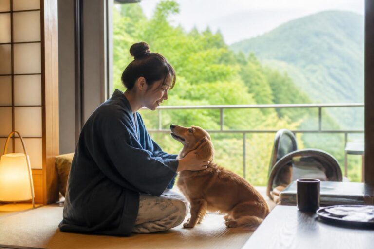 犬と泊まれる宿の体験談では何が分かる？