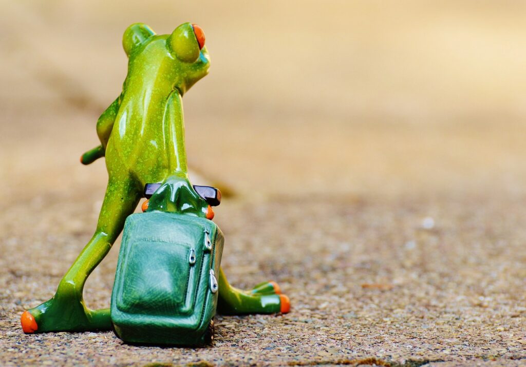 ペット同伴での旅行企画はどう進めるべき？
