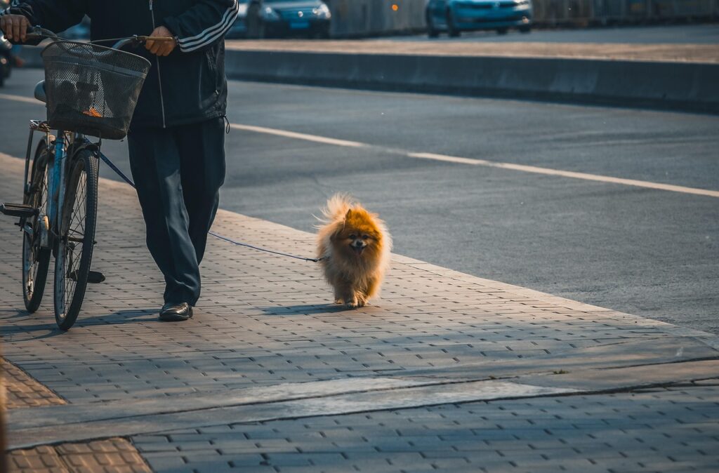 犬連れ宿泊の料金はいくらか？